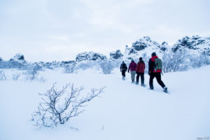 Guided snowshoe hiking in Myvatn